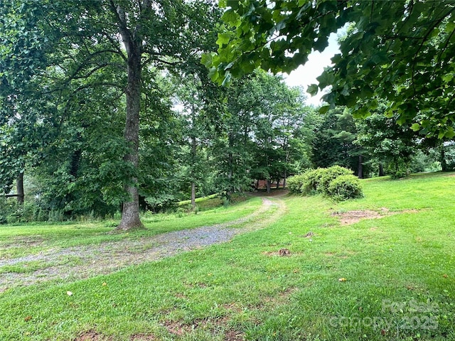 84 Randolph Rd, Marion, NC 28752 - photo 31