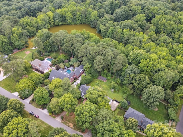 2032 Greenbrook Pkwy, Matthews, NC 28104 - bird's eye view of a forest