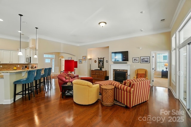 9330 Carneros Creek Rd, Charlotte, NC 28214 - living area featuring healthy amount of natural light, a premium fireplace, dark wood-style flooring, crown molding, and arched walkways