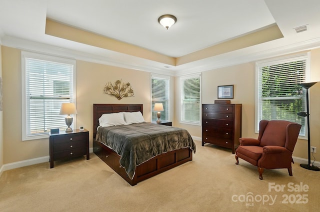 9330 Carneros Creek Rd, Charlotte, NC 28214 - carpeted bedroom featuring a tray ceiling and multiple windows