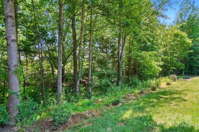 9330 Carneros Creek Rd, Charlotte, NC 28214 - view of tree filled area