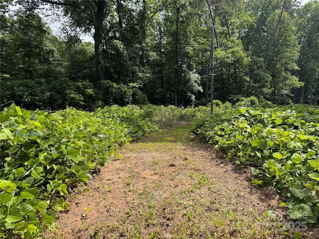 0000 Ranger Rd, Clover, SC 29710