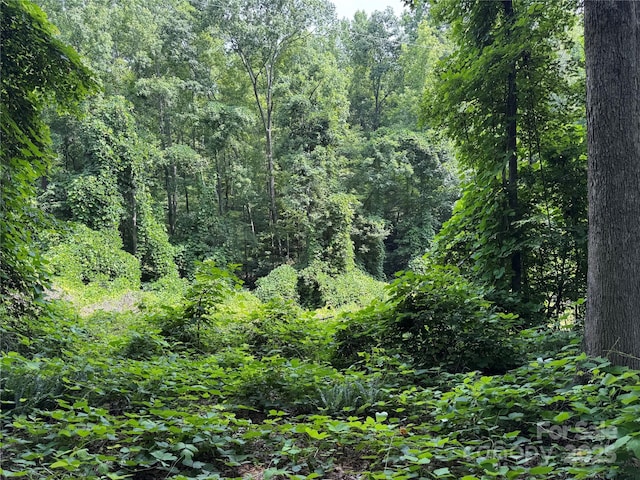0000 Ranger Rd, Clover, SC 29710