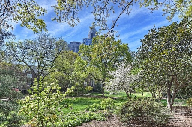 333 W 7th St, Charlotte, NC 28202 - photo 45