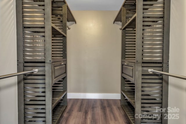 41 Remembrance Rdg, Flat Rock, NC 28731 - spacious closet with dark wood-style floors