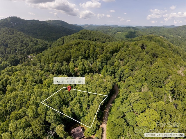 000 English Ridge Dr Unit 23, Mars Hill, NC 28754