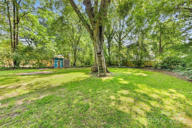 2034 Lanier Ave, Charlotte, NC 28205 - view of green lawn with a storage unit