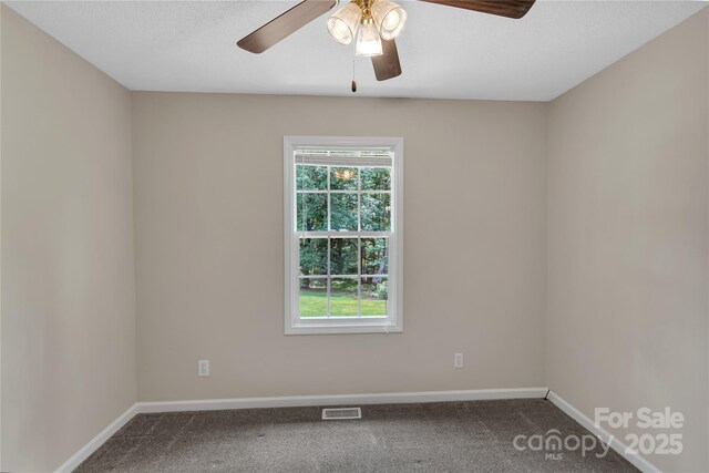 247 Helton Rd, Cherryville, NC 28021 - photo 30