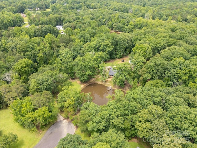 3547 Willowood Pond Dr, Rock Hill, SC 29730 - photo 39
