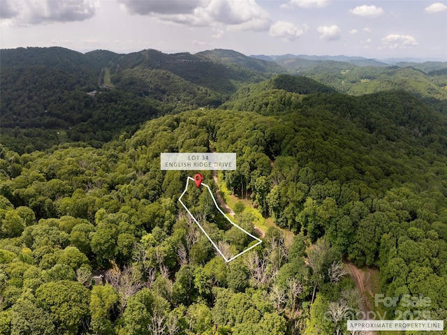 000 English Ridge Dr Unit 34, Mars Hill, NC 28754