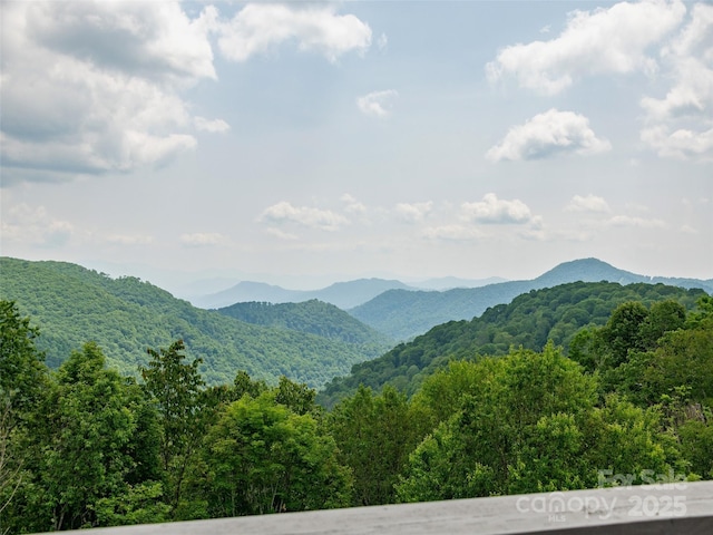 000 English Ridge Dr Unit 34, Mars Hill, NC 28754