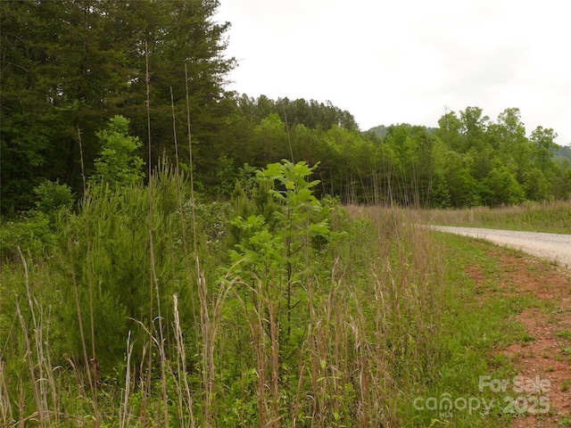 LOT14 Vineyards Way, Lake Lure, NC 28746