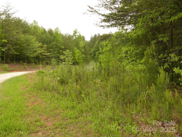 LOT14 Vineyards Way, Lake Lure, NC 28746