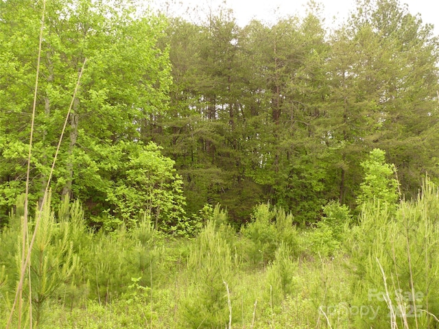 LOT14 Vineyards Way, Lake Lure, NC 28746