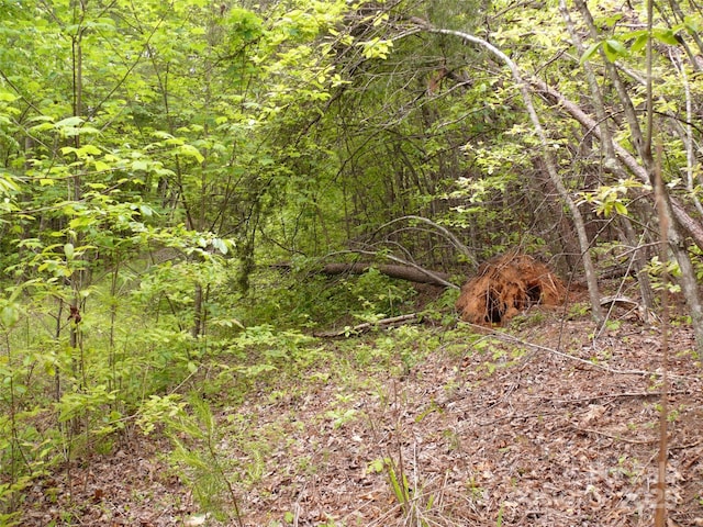 LOT14 Vineyards Way, Lake Lure, NC 28746