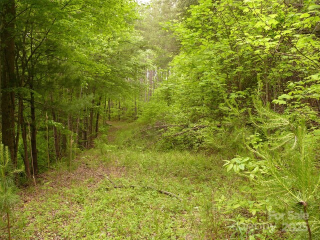 LOT14 Vineyards Way, Lake Lure, NC 28746