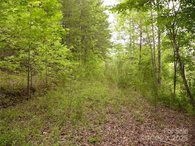 LOT14 Vineyards Way, Lake Lure, NC 28746