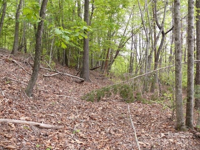 LOT14 Vineyards Way, Lake Lure, NC 28746