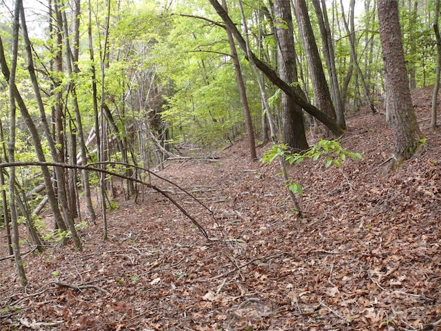 LOT14 Vineyards Way, Lake Lure, NC 28746
