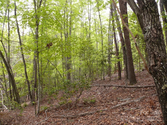 LOT14 Vineyards Way, Lake Lure, NC 28746