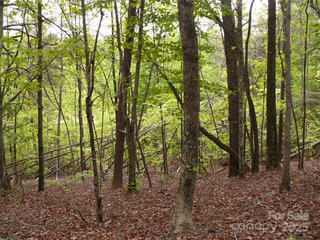 LOT14 Vineyards Way, Lake Lure, NC 28746