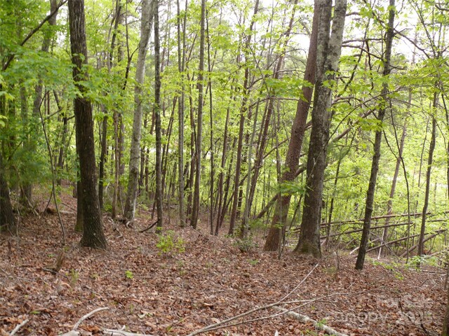 LOT14 Vineyards Way, Lake Lure, NC 28746