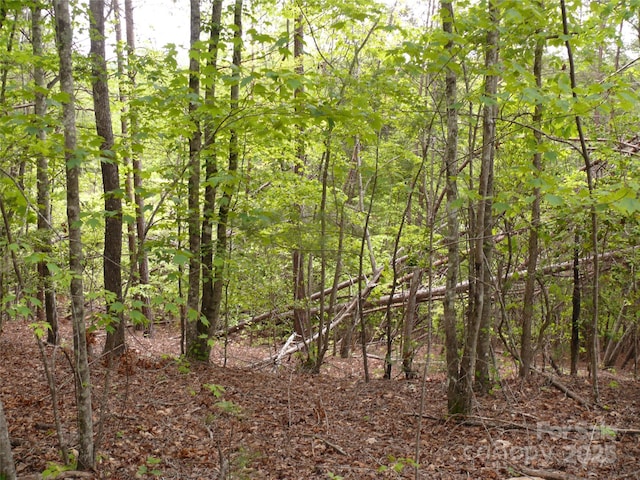 LOT14 Vineyards Way, Lake Lure, NC 28746