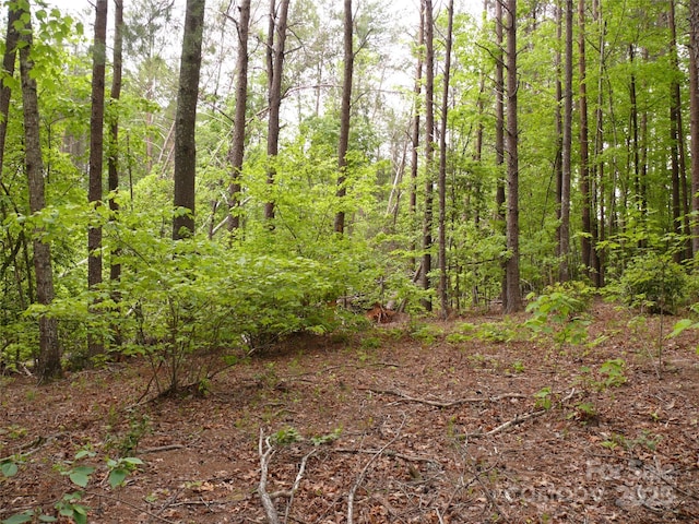 LOT14 Vineyards Way, Lake Lure, NC 28746