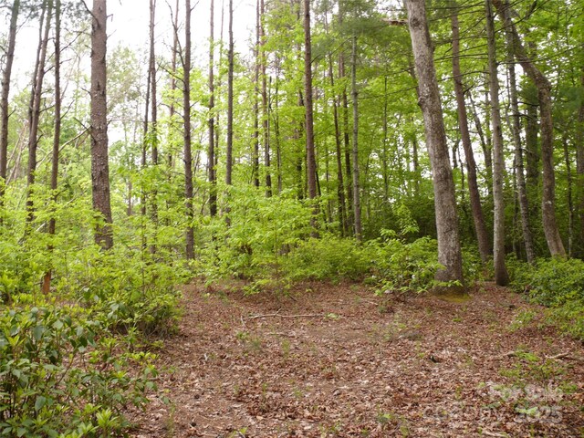 LOT14 Vineyards Way, Lake Lure, NC 28746