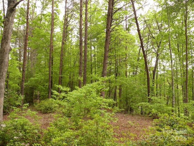 LOT14 Vineyards Way, Lake Lure, NC 28746