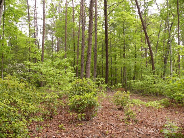 LOT14 Vineyards Way, Lake Lure, NC 28746