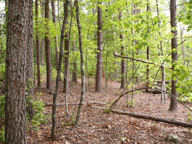 LOT14 Vineyards Way, Lake Lure, NC 28746