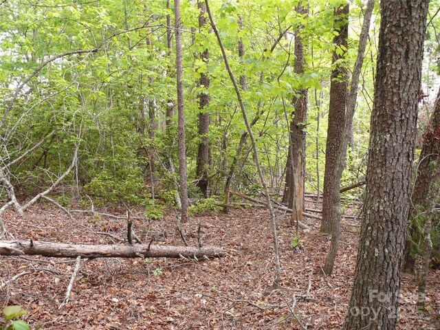 LOT14 Vineyards Way, Lake Lure, NC 28746