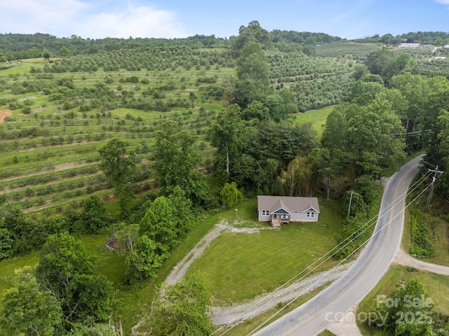 458 Summer Rd, Hendersonville, NC 28792 - photo 24