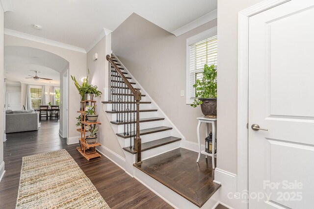 6029 Phyliss Ln, Mint Hill, NC 28227 - photo 6
