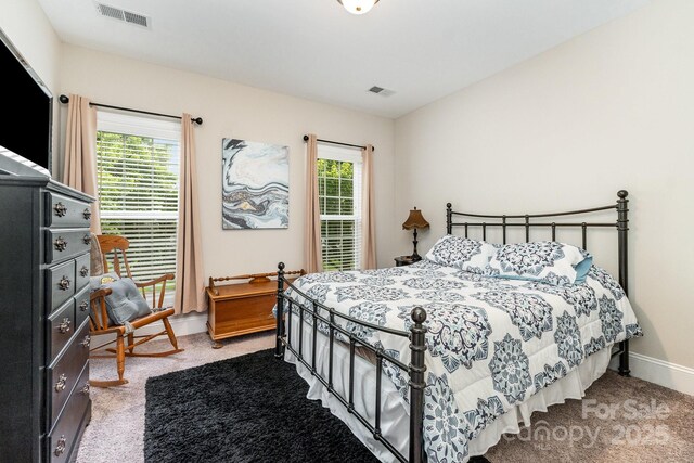 6029 Phyliss Ln, Mint Hill, NC 28227 - photo 26