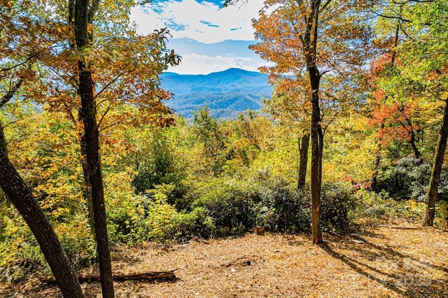 148 High Cliffs Trl Lot 12B, Black Mountain, NC 28711