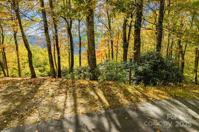 148 High Cliffs Trl Lot 12B, Black Mountain, NC 28711