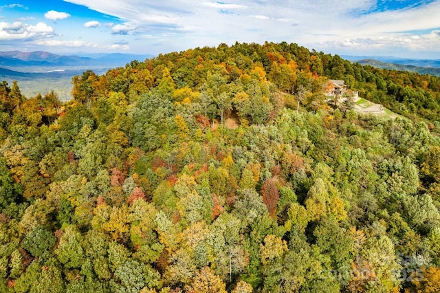 148 High Cliffs Trl Lot 12B, Black Mountain, NC 28711