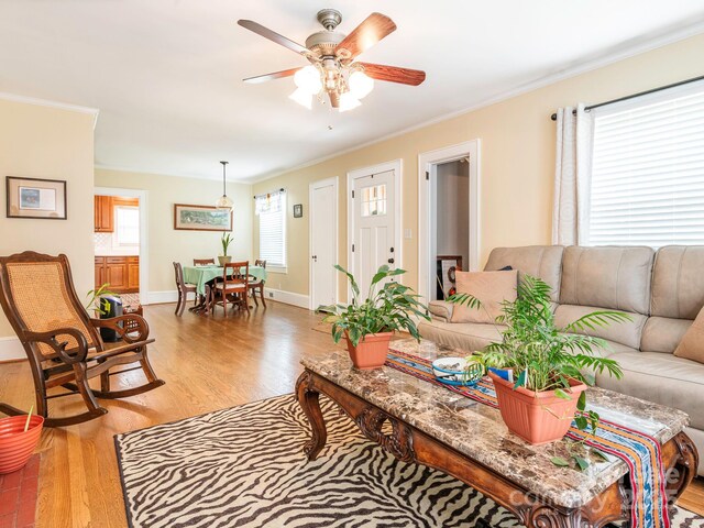 175 Pine St, Rutherfordton, NC 28139 - photo 23