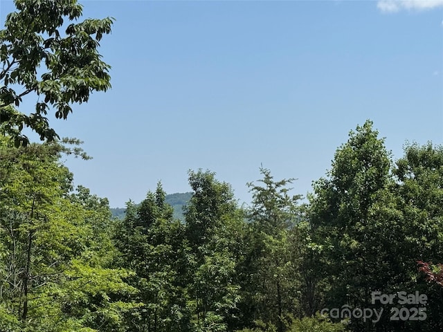 0 Rocky Mount Dr Unit 43, Lake Lure, NC 28746