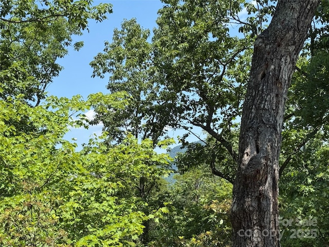 0 Rocky Mount Dr Unit 43, Lake Lure, NC 28746