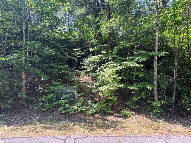 0 Rocky Mount Dr Unit 43, Lake Lure, NC 28746