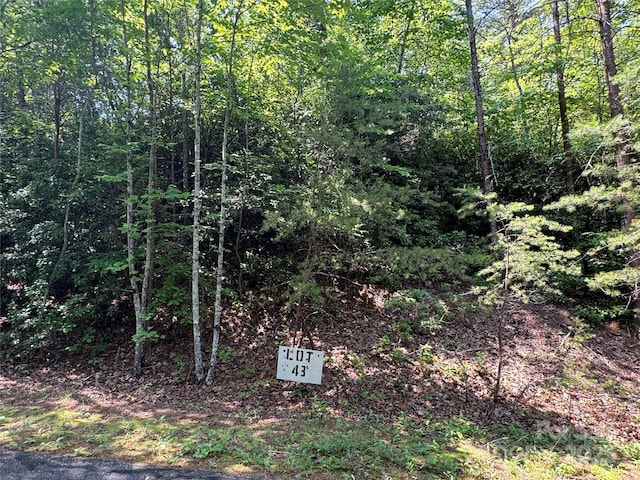 0 Rocky Mount Dr Unit 43, Lake Lure, NC 28746