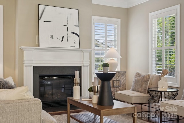 12525 Druids Glen Dr, Pineville, NC 28134 - living area featuring a fireplace with flush hearth and ornamental molding