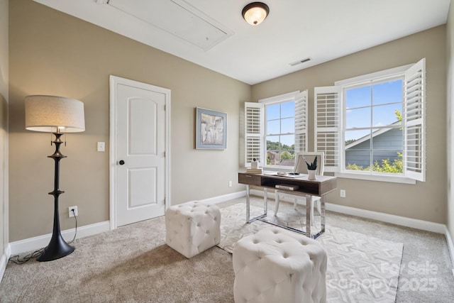 12525 Druids Glen Dr, Pineville, NC 28134 - office area with attic access and carpet flooring