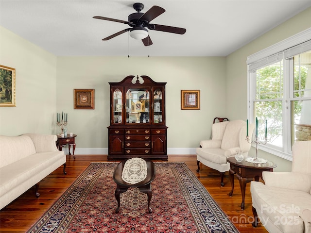 303 S Braeside Ct, Asheville, NC 28803 - living area with wood finished floors, plenty of natural light, and a ceiling fan