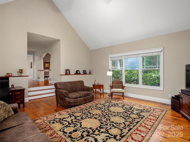 303 S Braeside Ct, Asheville, NC 28803 - living room featuring high vaulted ceiling, light wood-style flooring, and arched walkways