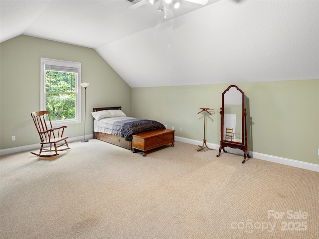 303 S Braeside Ct, Asheville, NC 28803 - carpeted bedroom with lofted ceiling and baseboards