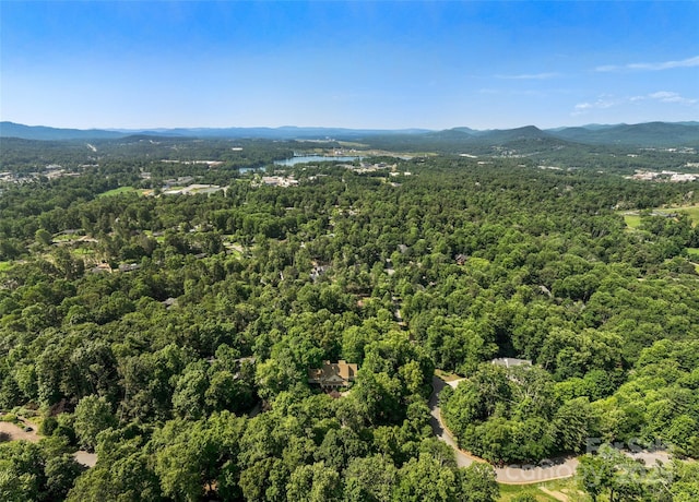 303 S Braeside Ct, Asheville, NC 28803 - aerial view of a forest and a mountainous background